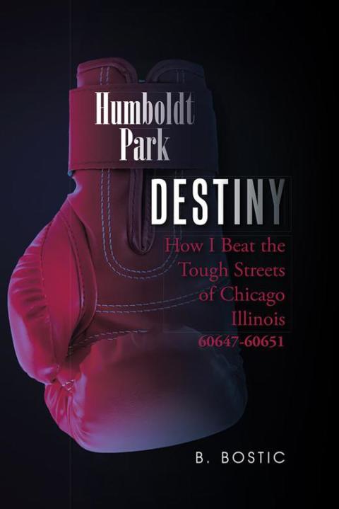 Cover image for book Destiny