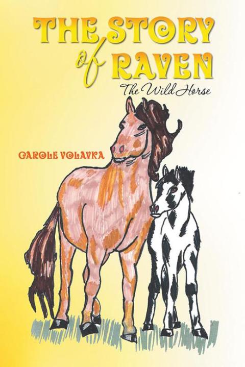 Cover image for book The Story of Raven