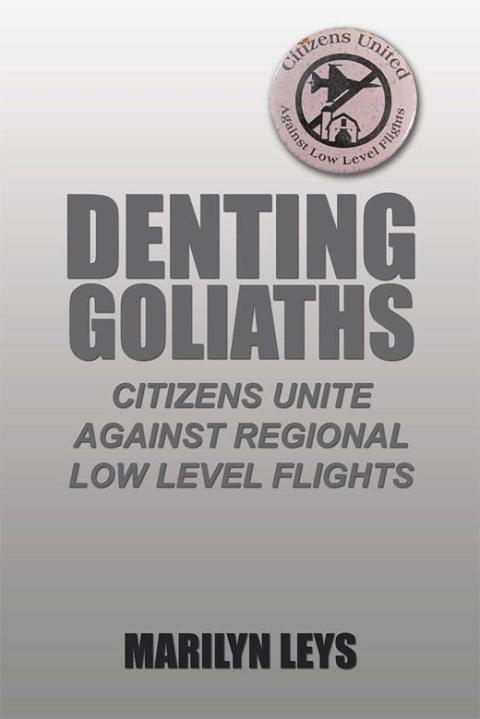 Cover image for book Denting Goliaths