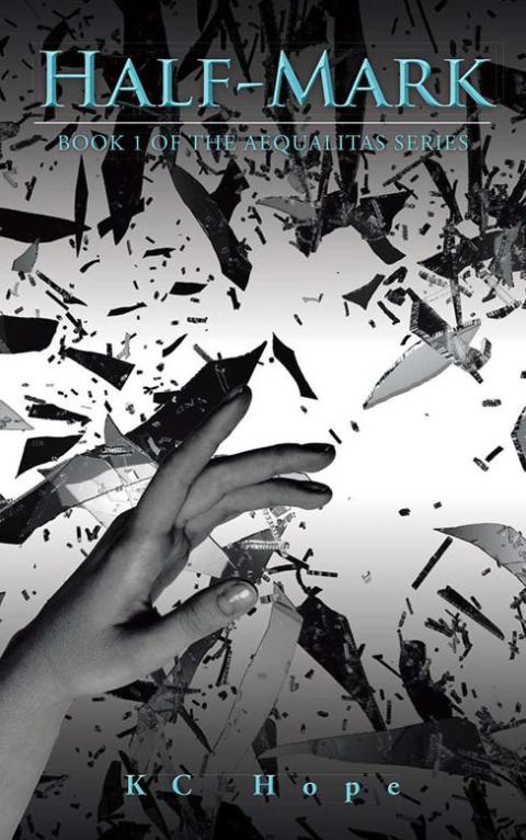 Cover image for book Half-Mark