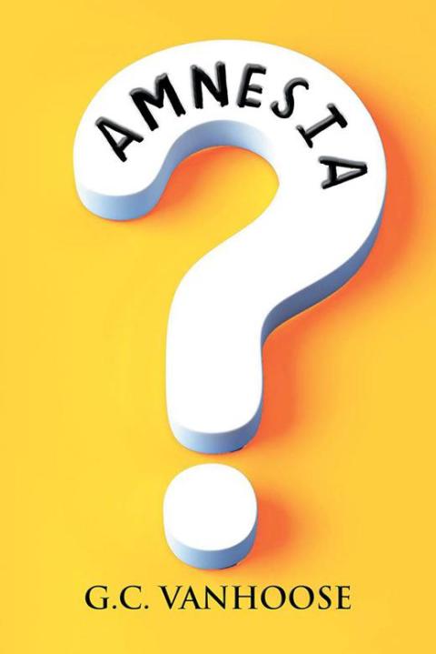 Cover image for book Amnesia