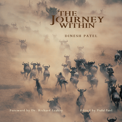 Cover image for book The Journey Within