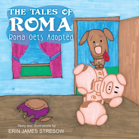 Cover image for book The Tales of Roma