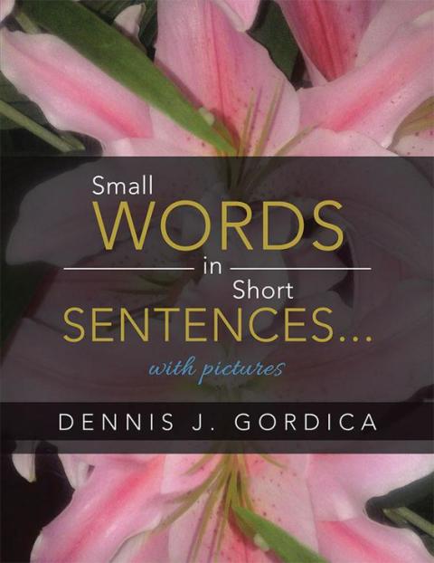 Cover image for book Small Words in Short Sentences...With Pictures