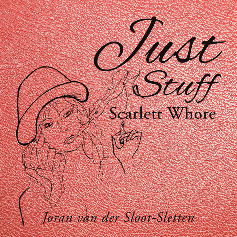 Cover image for book Just Stuff