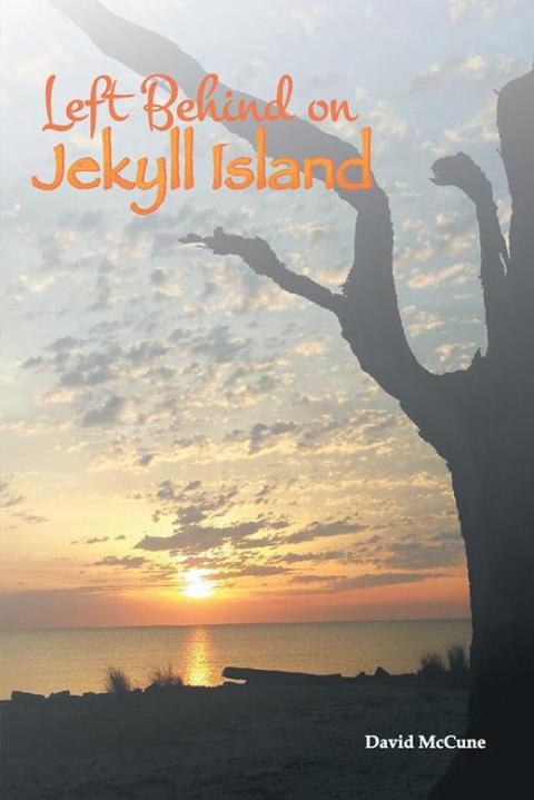 Cover image for book Left Behind on Jekyll Island