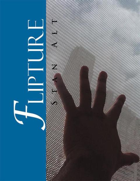 Cover image for book Flipture