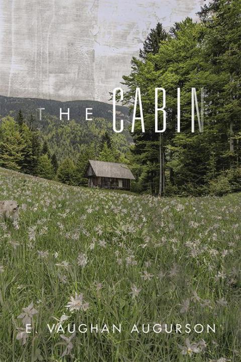 Cover image for book The Cabin