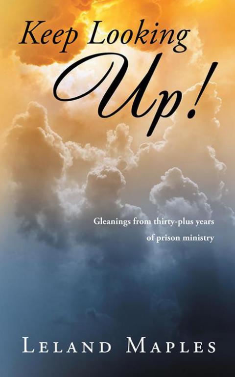 Cover image for book Keep Looking Up!