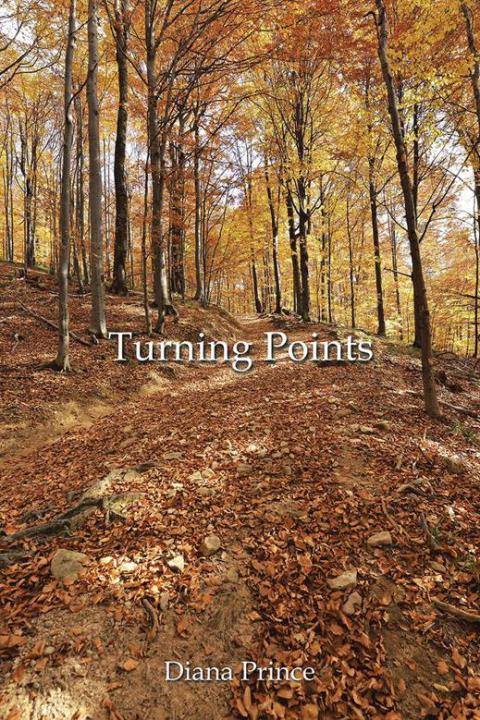 Cover image for book Turning Points