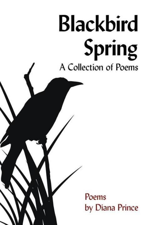 Cover image for book Blackbird Spring