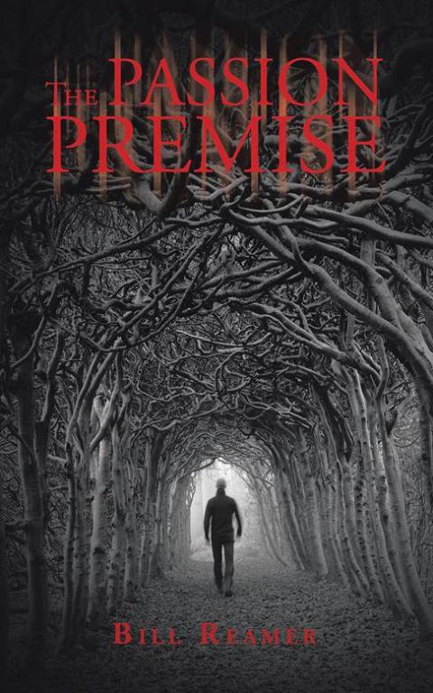 Cover image for book The Passion Premise