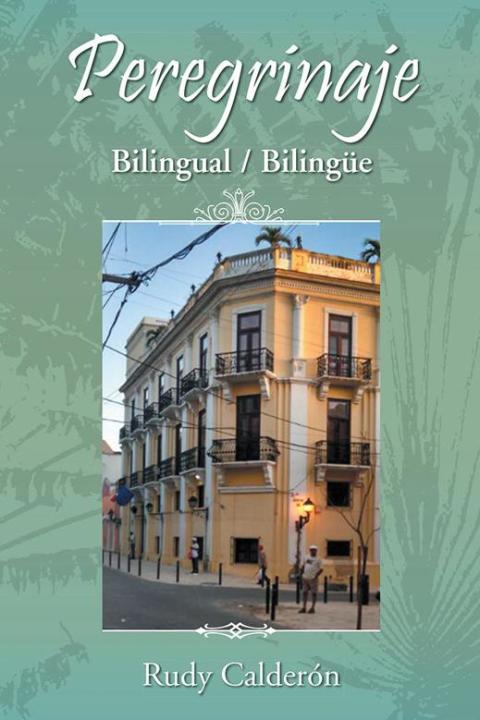 Cover image for book Peregrinaje
