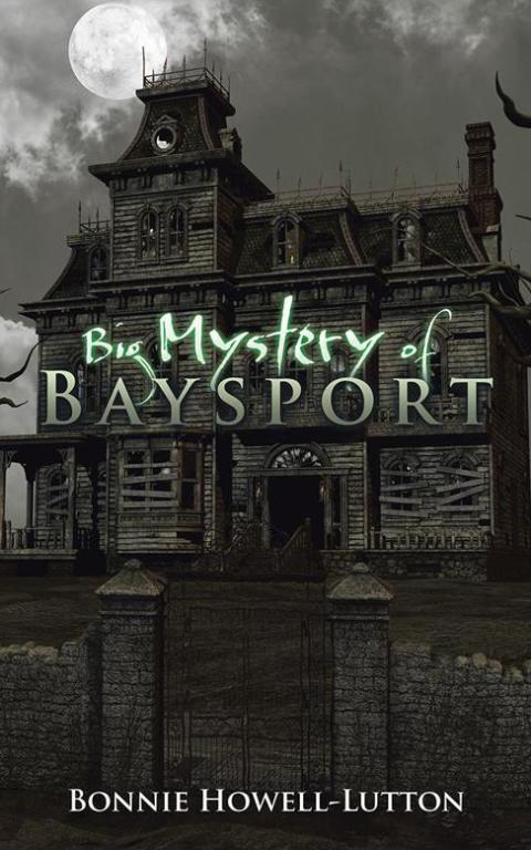 Cover image for book Big Mystery of Baysport