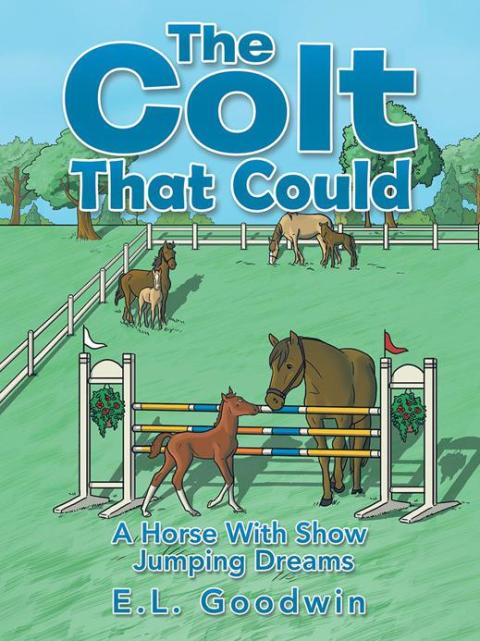 Cover image for book The Colt That Could