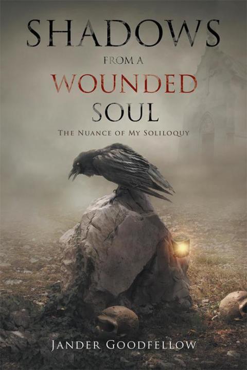 Cover image for book Shadows from a Wounded Soul