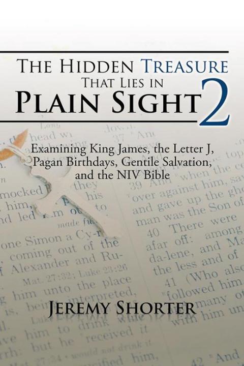 Cover image for book The Hidden Treasure That Lies in Plain Sight 2