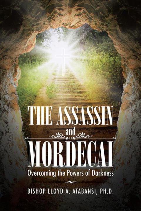 Cover image for book The Assassin and Mordecai
