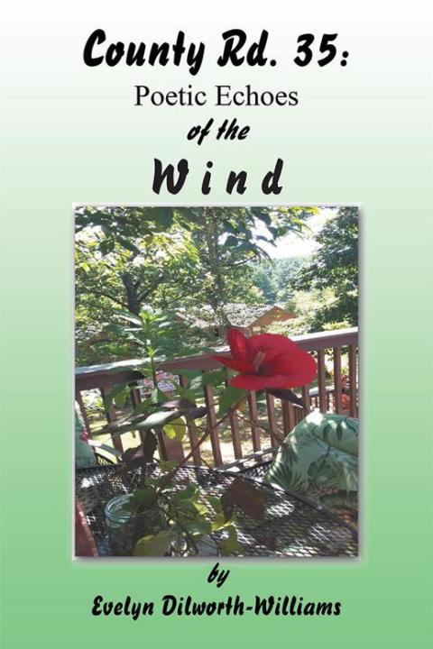 Cover image for book County Rd. 35