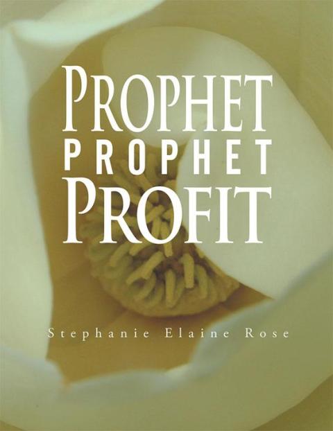 Cover image for book Prophet, Prophet, Profit