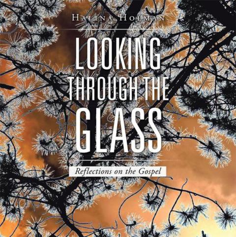 Cover image for book Looking Through the Glass