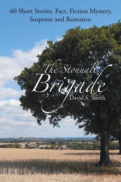 Cover image for book The Stonnall Brigade