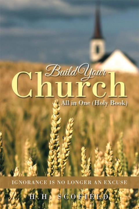 Cover image for book Build Your Church