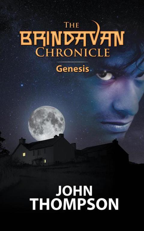 Cover image for book The Brindavan Chronicle