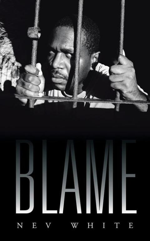 Cover image for book Blame