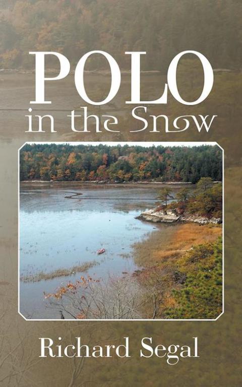 Cover image for book Polo in the Snow