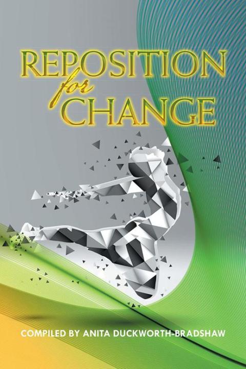 Cover image for book Reposition for Change