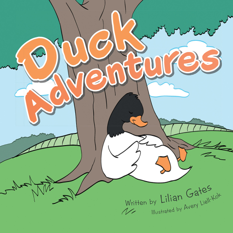 Cover image for book Duck Adventures