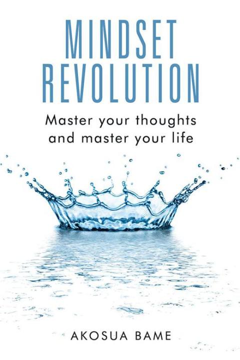 Cover image for book Mindset Revolution