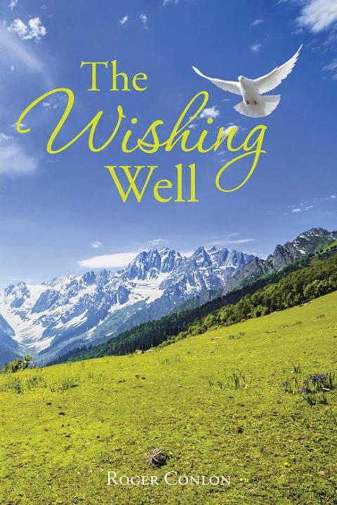 Cover image for book The Wishing Well