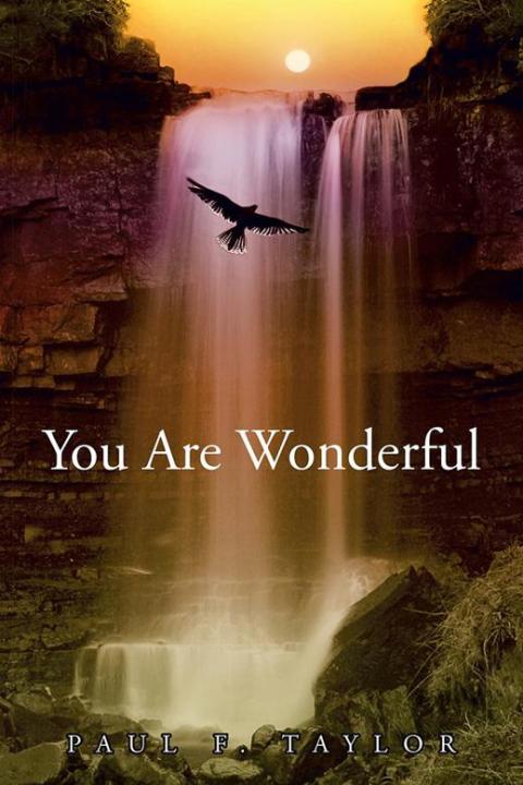 Cover image for book You Are Wonderful