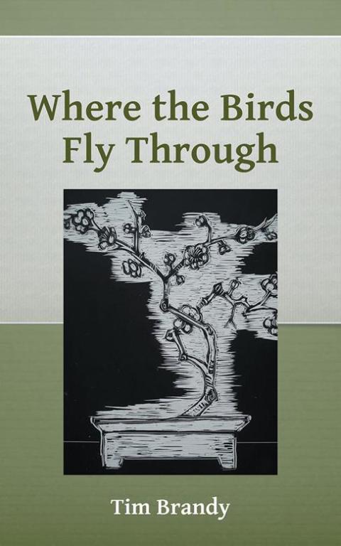 Cover image for book Where the Birds Fly Through