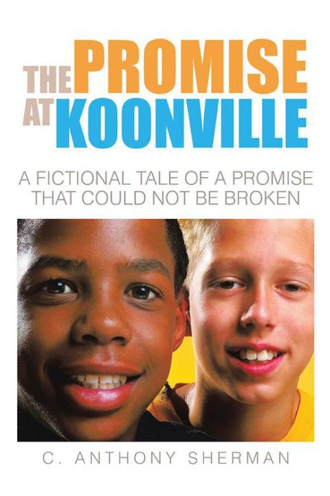 Cover image for book The Promise at Koonville