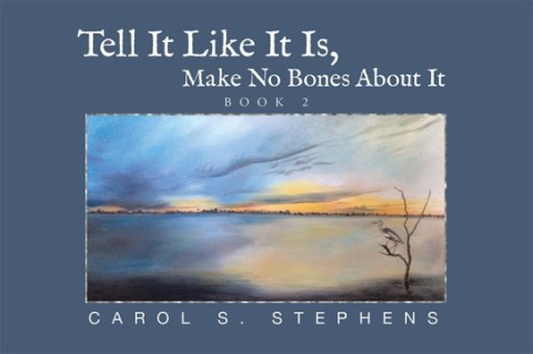 Cover image for book Tell It Like It Is, Make No Bones About It