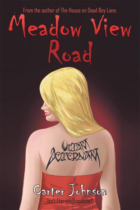 Cover image for book Meadow View Road