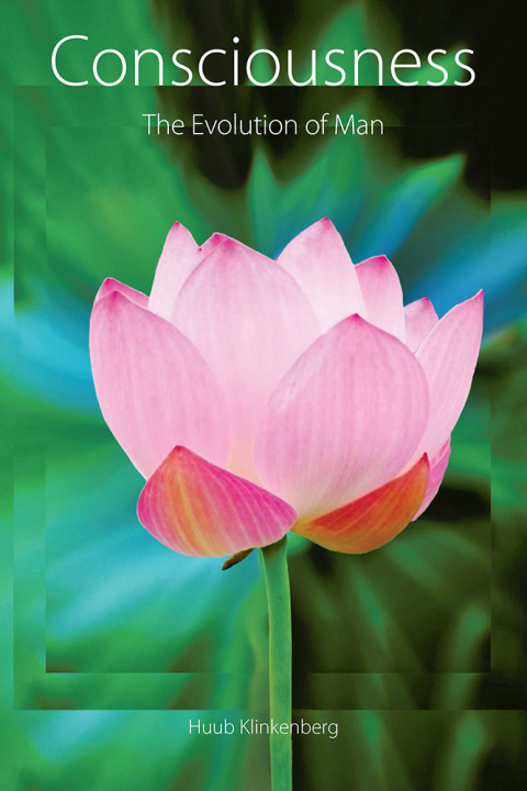Cover image for book Consciousness