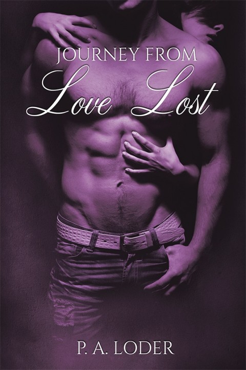 Cover image for book Journey from Love Lost