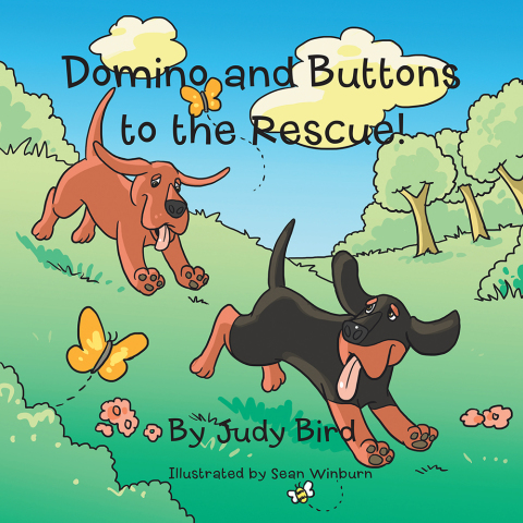 Cover image for book Domino and Buttons to the Rescue!