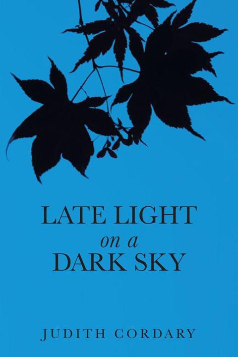 Cover image for book Late Light on a Dark Sky