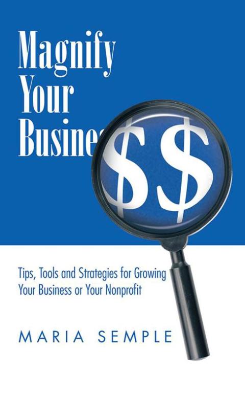 Cover image for book Magnify Your Business