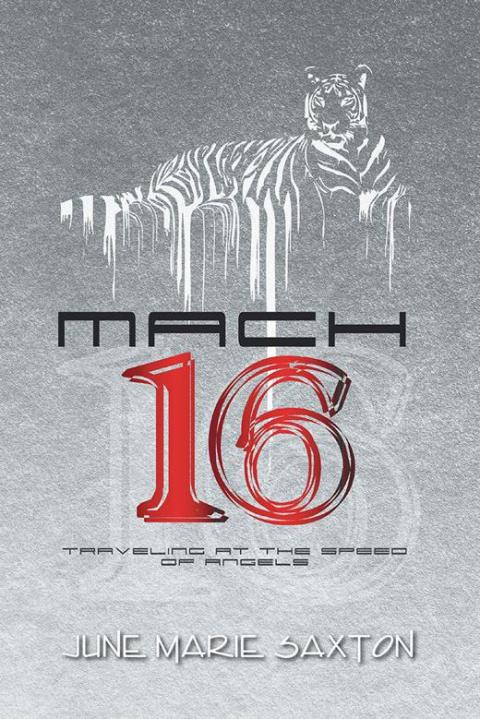 Cover image for book Mach 16