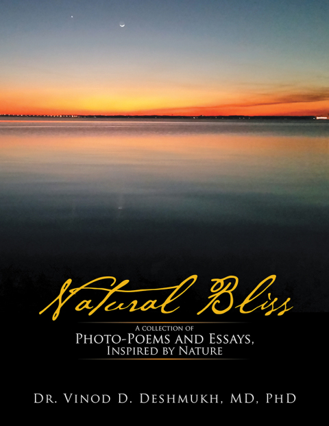 Cover image for book Natural Bliss