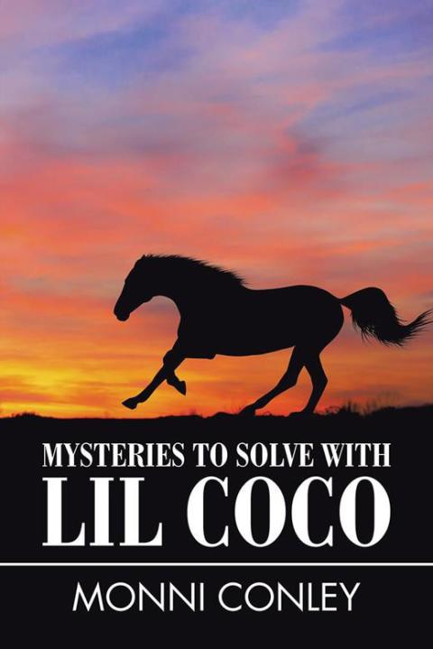 Cover image for book Mysteries to Solve with Lil Coco