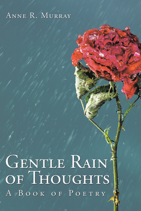 Cover image for book Gentle Rain of Thoughts