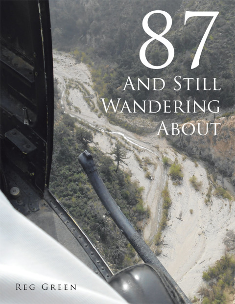 Cover image for book 87 and Still Wandering About