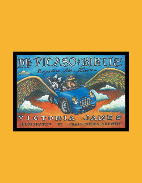 Cover image for book Mr. Picaso & Birtie